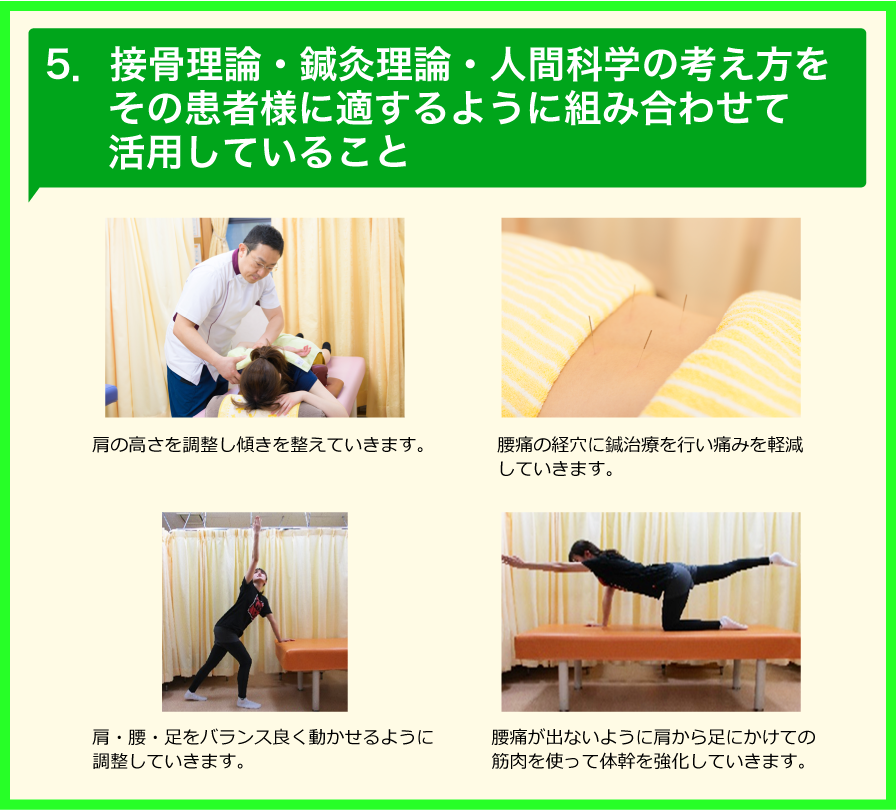 5.接骨理論・鍼灸理論・人間科学の考え方をその患者様に適するように組み合わせて活用していること